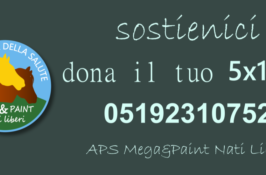  Mega&Paint Nati Liberi